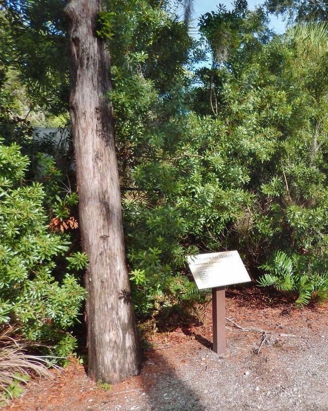 Red Cedar Marker. Click for full size. Red Cedar Marker image. Click for full size.