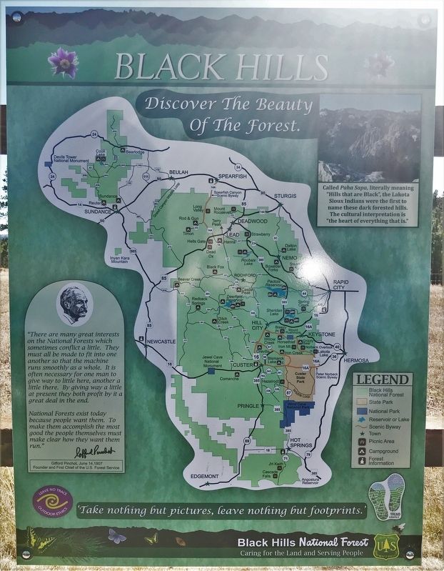 Discover the Black Hills National Forest Marker <i>(Center Panel)</i> image. Click for full size.