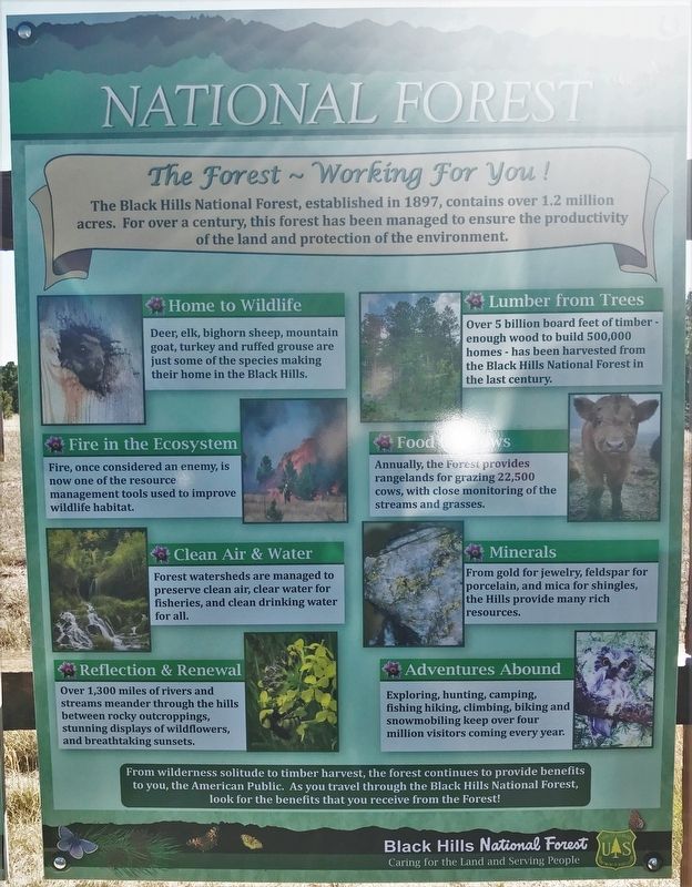 Discover the Black Hills National Forest Marker <i>(Right Panel)</i> image. Click for full size.