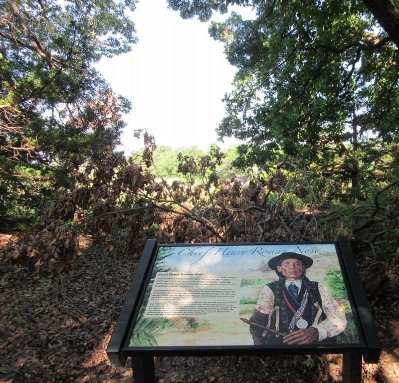 Chief Henry Roman Nose Marker. Click for full size. Chief Henry Roman Nose Marker image. Click for full size.