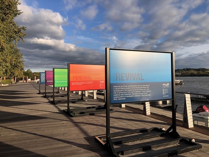 River Revival Marker. Click for full size. River Revival Marker image. Click for full size.