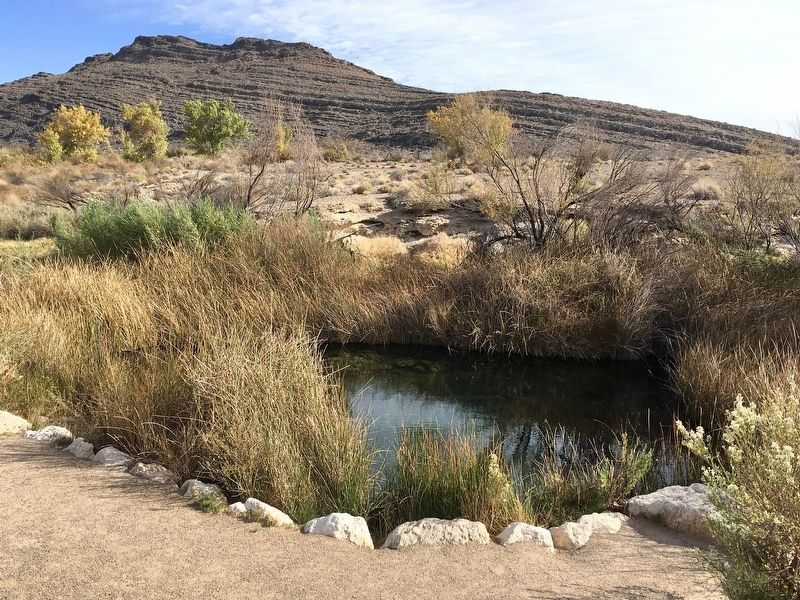 A Changing Landscape image. Click for full size.