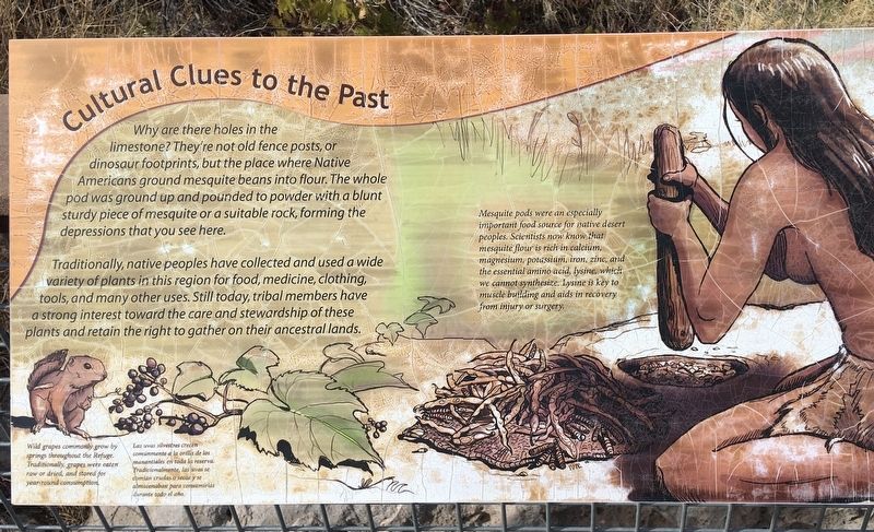 Cultural Clues to the Past Marker image. Click for full size.