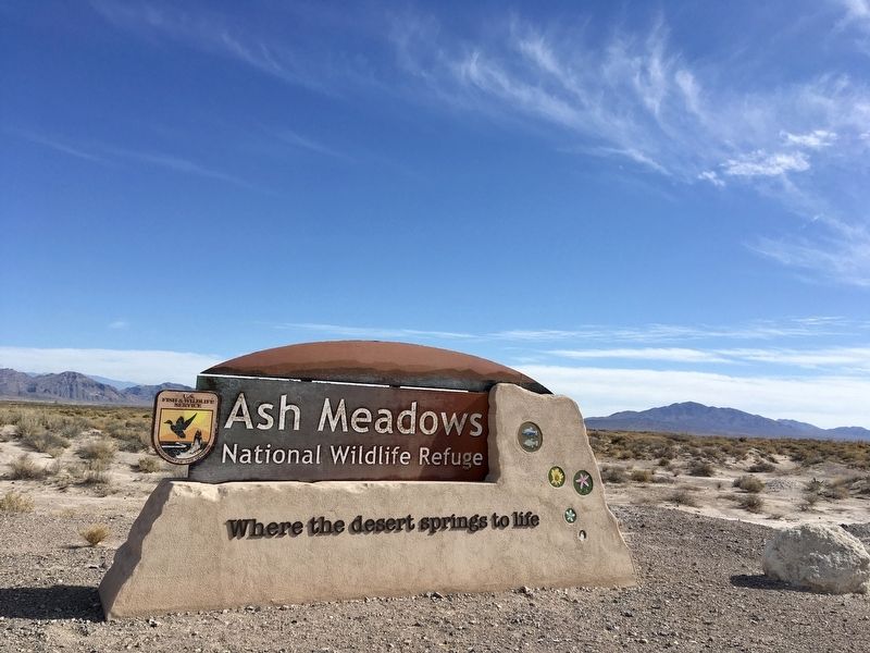 Ash Meadows National Wildlife Refuge image. Click for full size.