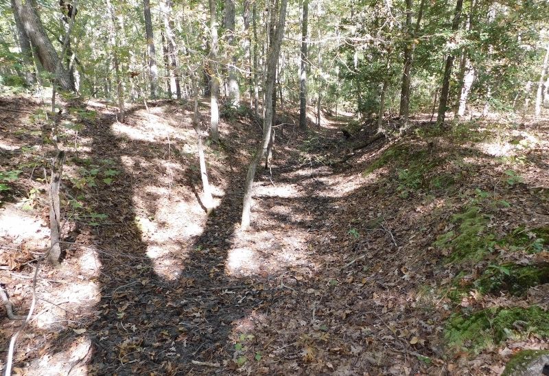 Confederate Earthworks image. Click for full size.