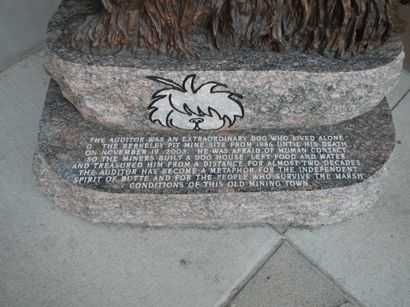 The Auditor Marker. Click for full size. The Auditor Marker image. Click for full size.