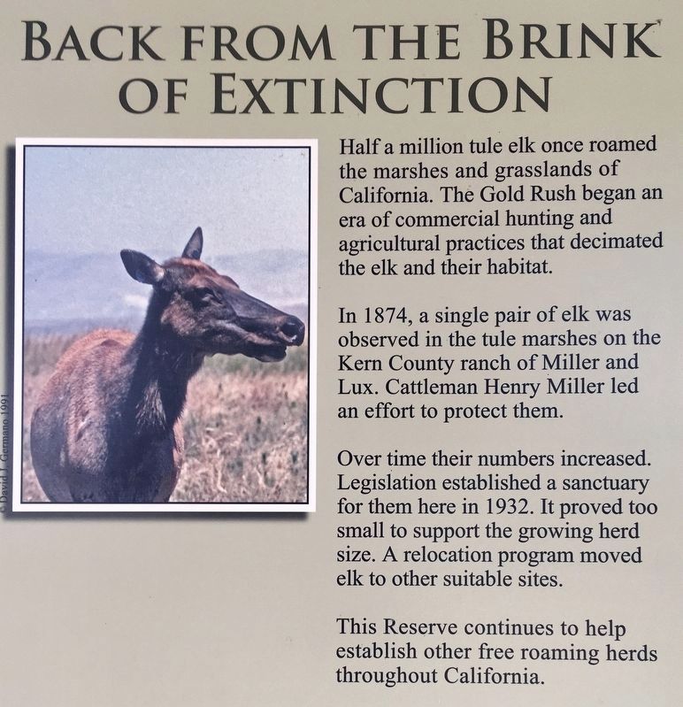 Tule Elk State Reserve Marker image. Click for full size.