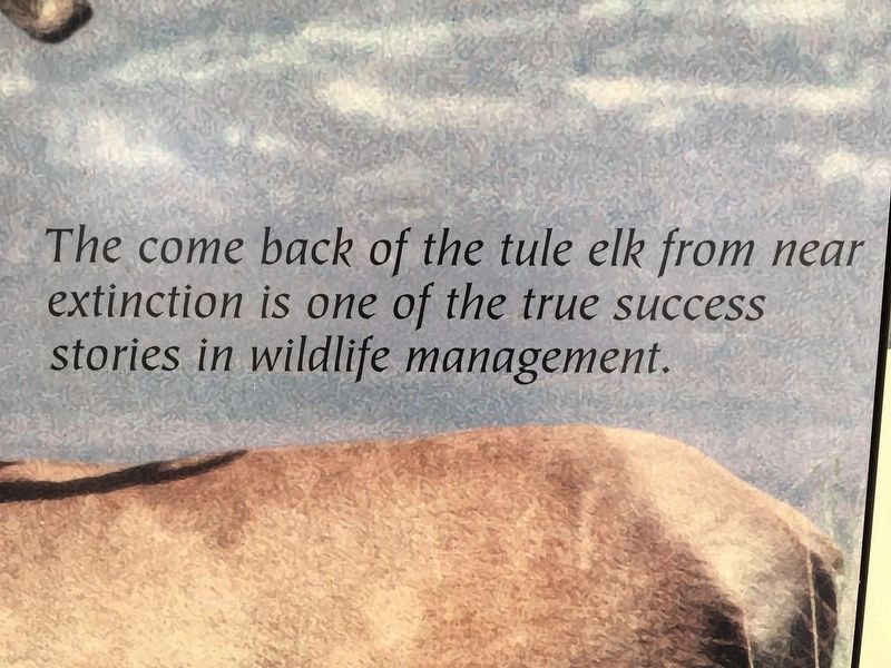 Tule Elk State Reserve Marker image. Click for full size.