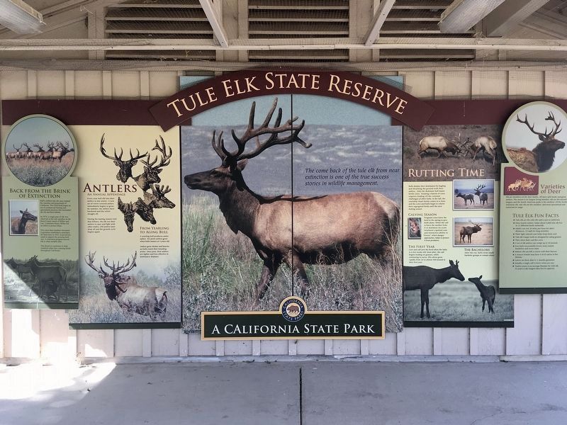 Tule Elk State Reserve Marker image. Click for full size.