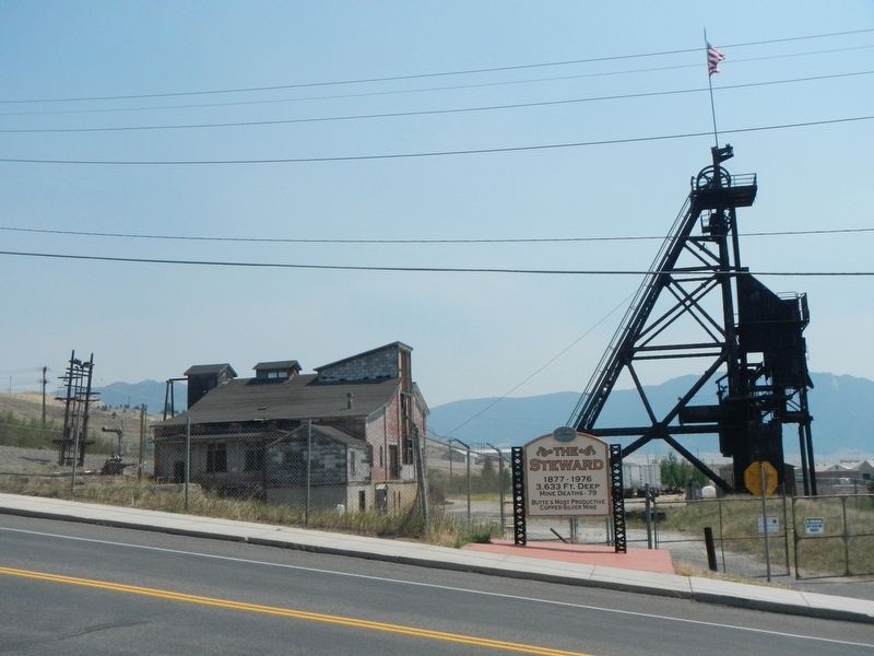 The Steward Mine and Marker. Click for full size. The Steward Mine and Marker image. Click for full size.