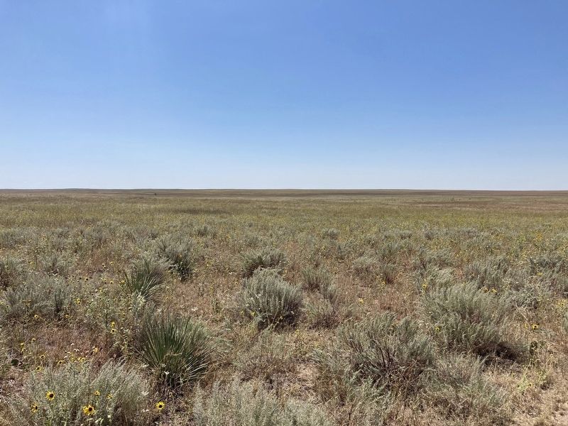 Prairie of Sand Creek Massacre Site image. Click for full size.