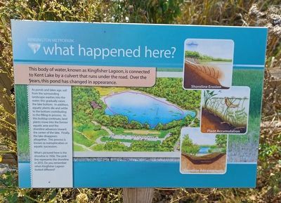 What Happened Here? Marker image. Click for full size.