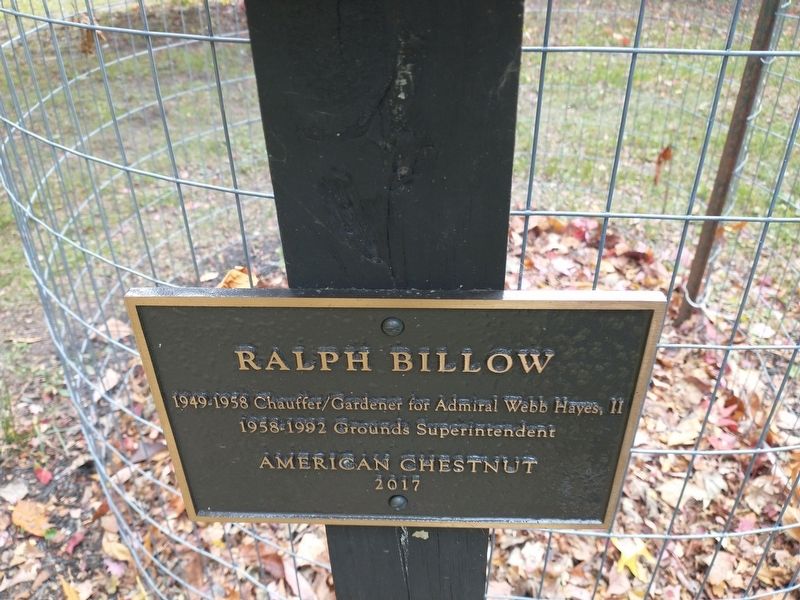 Ralph Billow Marker image. Click for full size.