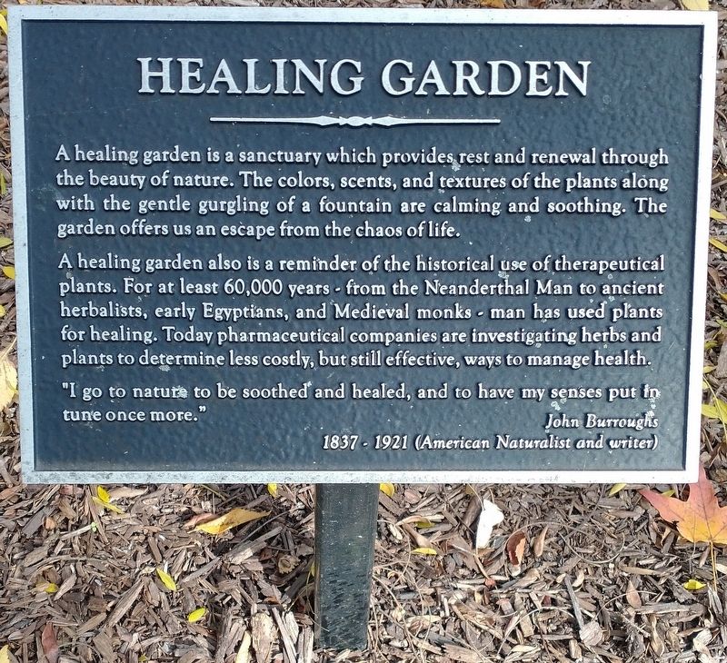 Healing Garden Marker image. Click for full size.