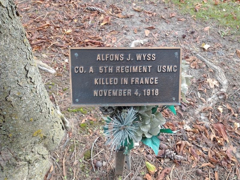 Alfons J. Wyss Marker. Click for full size. Alfons J. Wyss Marker image. Click for full size.