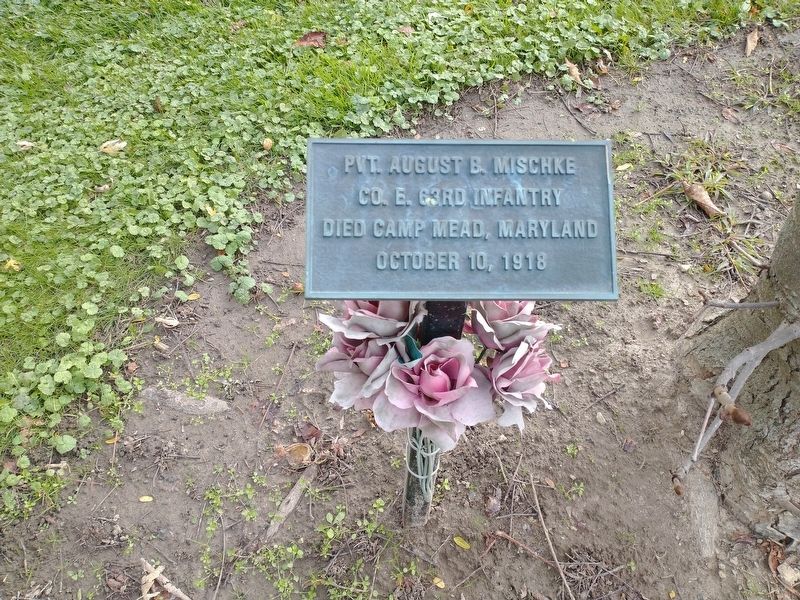 Pvt. August B. Mischke Marker. Click for full size. Pvt. August B. Mischke Marker image. Click for full size.