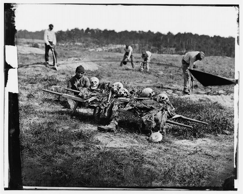 A burial party on the battlefield of Cold Harbor image. Click for full size.