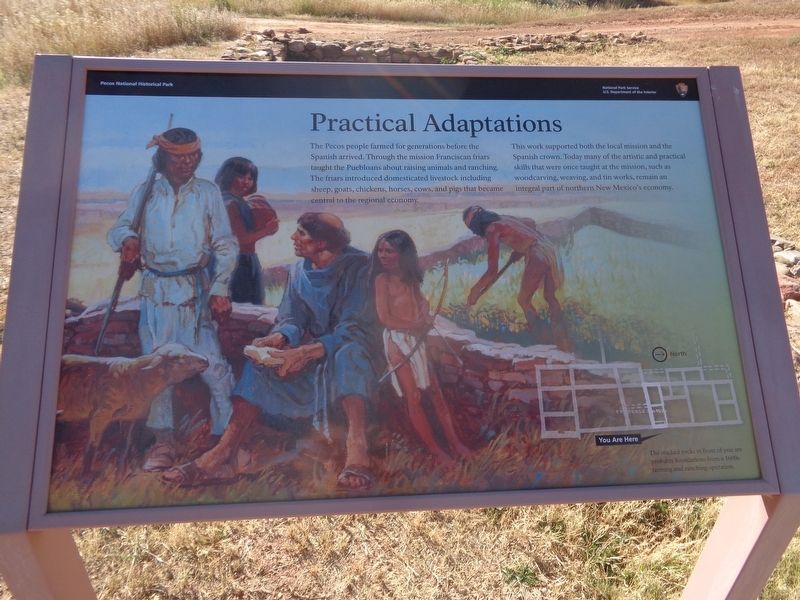 Practical Adaptations Marker. Click for full size. Practical Adaptations Marker image. Click for full size.