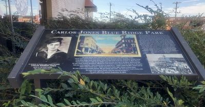 Carlos Jones Blue Ridge Park Marker image. Click for full size.