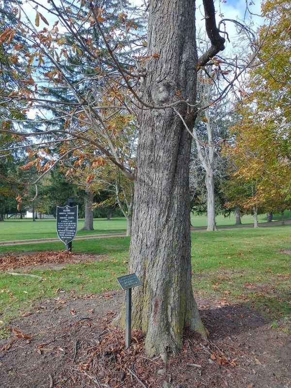 William E. Allen Marker. Click for full size. William E. Allen Marker image. Click for full size.