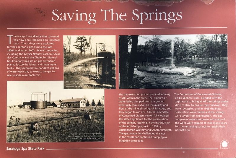 Saving The Springs Marker image. Click for full size.