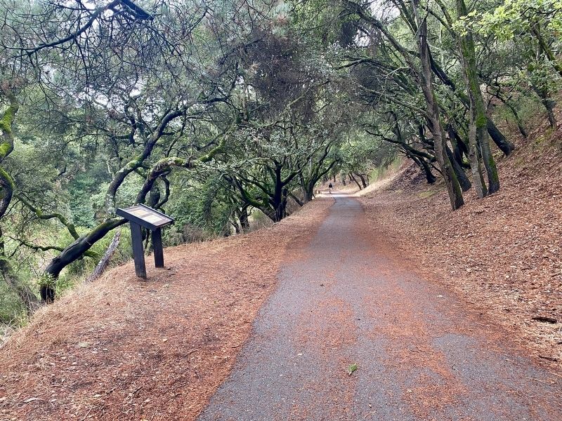 The Shepherd Canyon Corridor Plan Marker - wide view, looking south image. Click for full size.