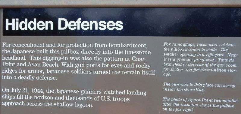 Hidden Defenses Marker. Click for full size. Hidden Defenses Marker image. Click for full size.