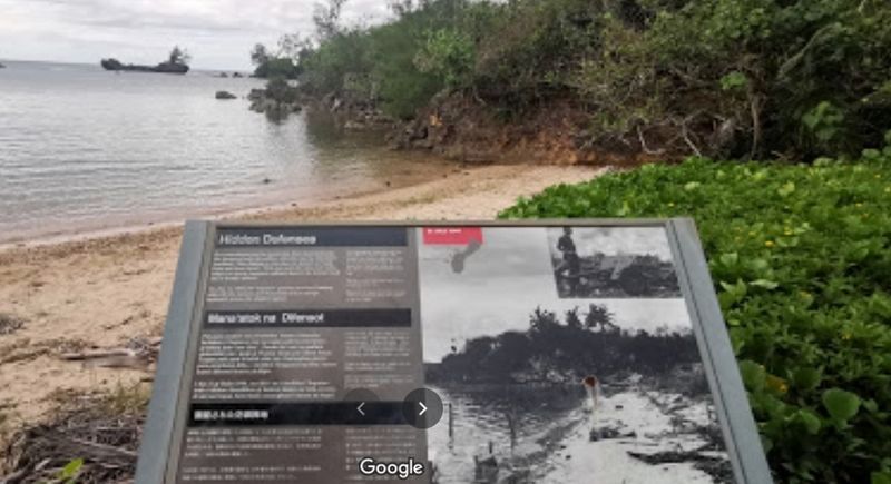 Hidden Defenses Marker. Click for full size. Hidden Defenses Marker image. Click for full size.