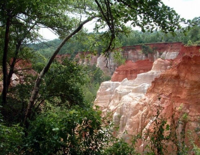 Providence Canyon image. Click for full size.