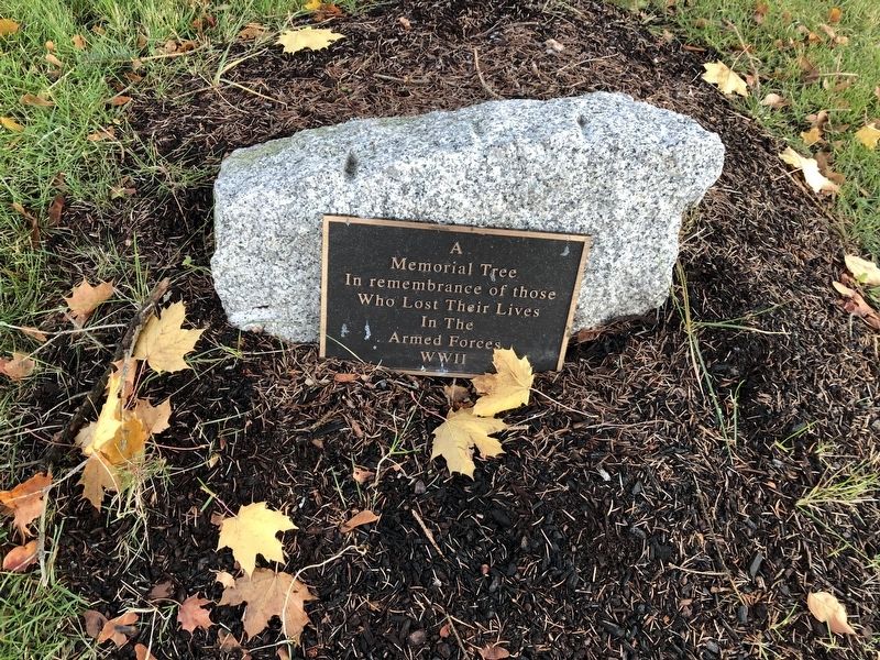 A Memorial Tree Marker. Click for full size. A Memorial Tree Marker image. Click for full size.