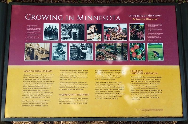 Growing in Minnesota Marker. Click for full size. Growing in Minnesota Marker image. Click for full size.