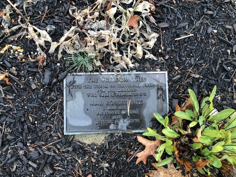 Maj. Robert Biss Marker. Click for full size. Maj. Robert Biss Marker image. Click for full size.