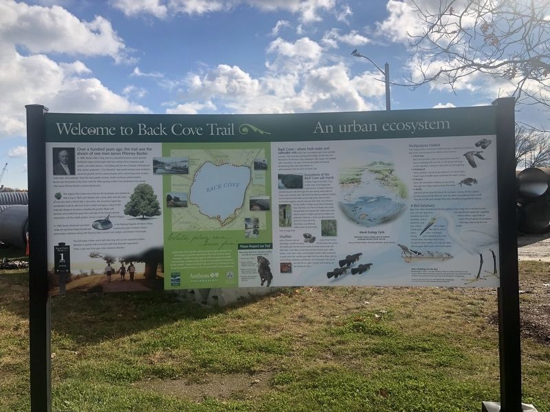Welcome to Back Cove Trail: An urban ecosystem / Explore: Portland's Magic Spaces Marker image. Click for full size.