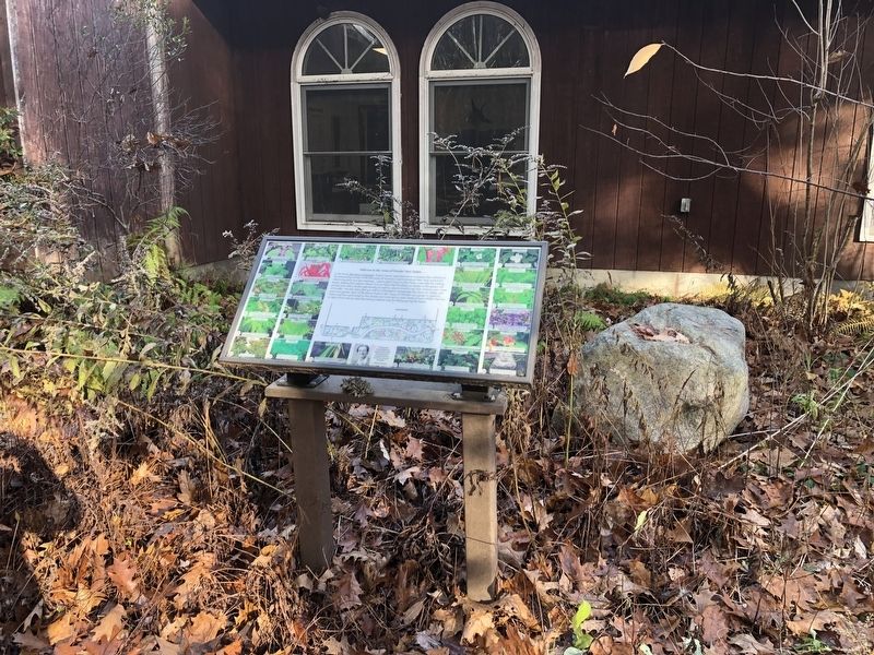 Welcome to the 'Sense of Wonder' Rain Garden
Marker. Click for full size. Welcome to the 'Sense of Wonder' Rain Garden
Marker image. Click for full size.
