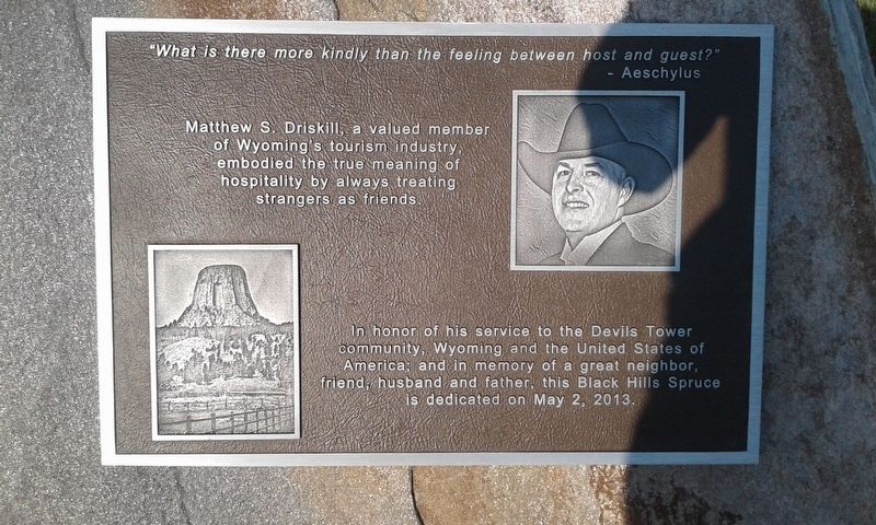 Matthew S. Driskill Marker image. Click for full size.