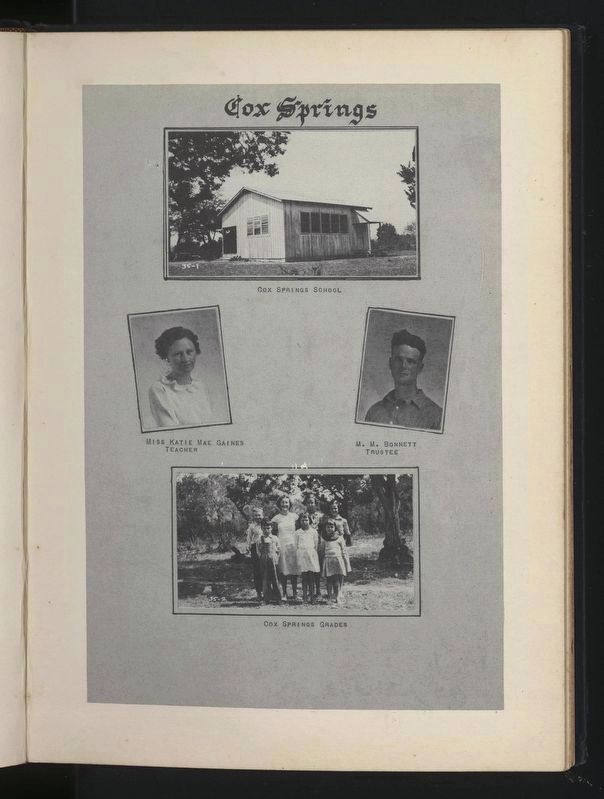 Cox Springs School image. Click for full size.
