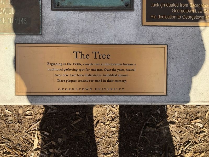 The Tree Marker. Click for full size. The Tree Marker image. Click for full size.