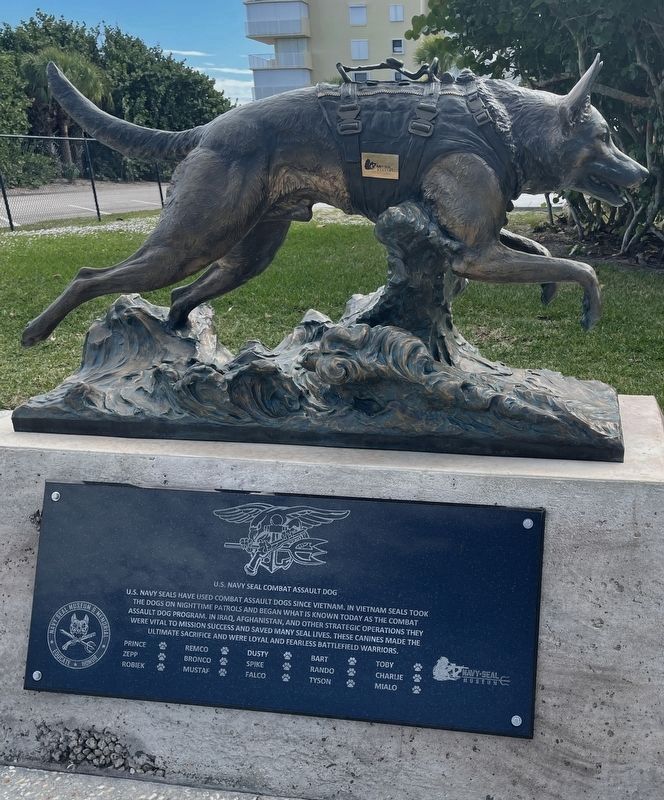 U.S. Navy Combat Assault Dog Marker (Side1). Click for full size. U.S. Navy Combat Assault Dog Marker (Side1) image. Click for full size.