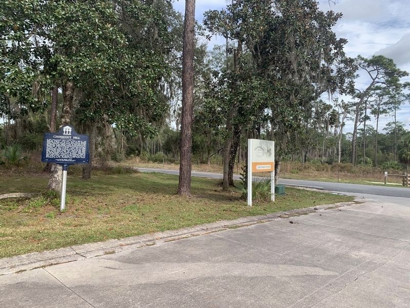 Chinsegut Hill Marker image. Click for full size.