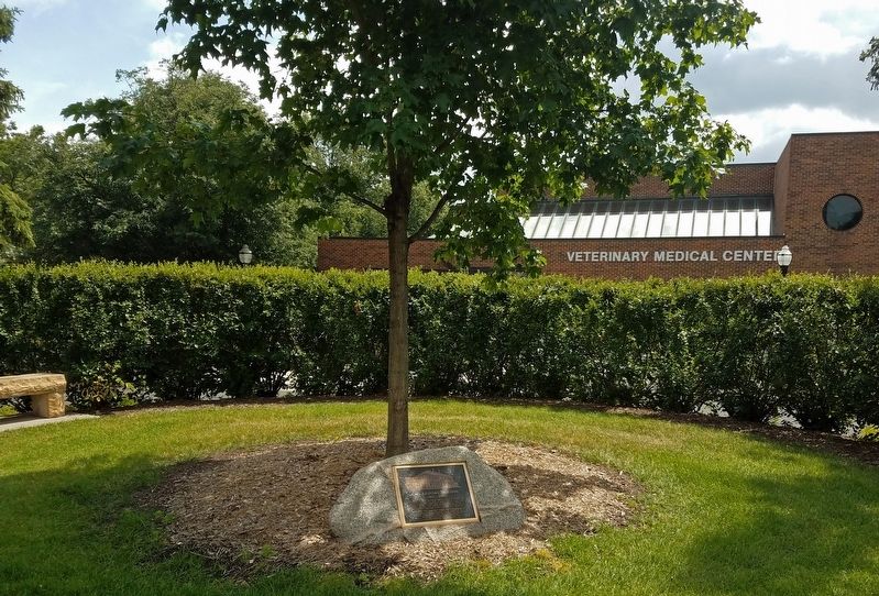 Marker north of the University of Minnesota Veterinary Medical Center image. Click for full size.