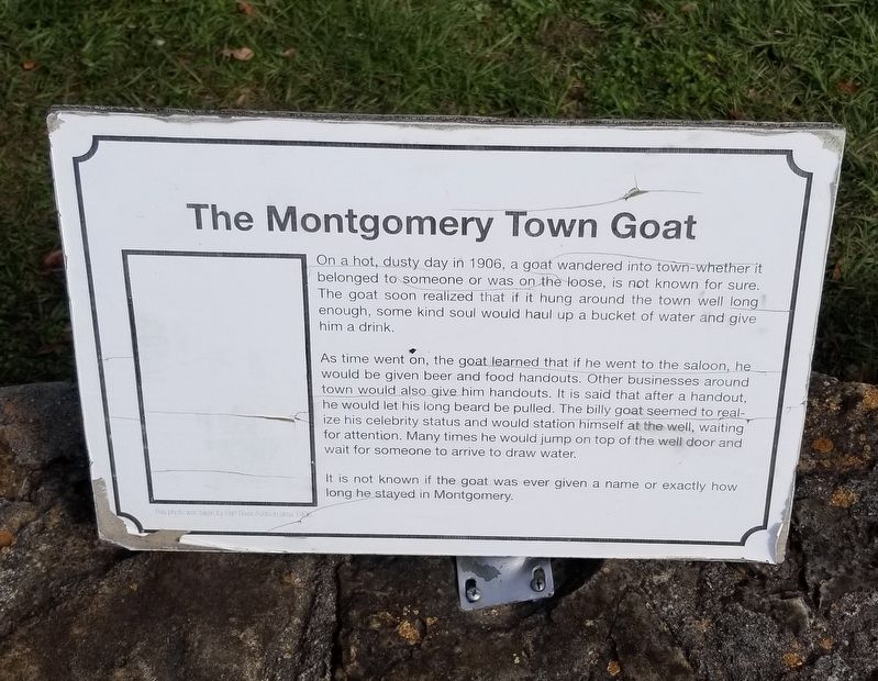 The Montgomery Town Goat Marker image. Click for full size.