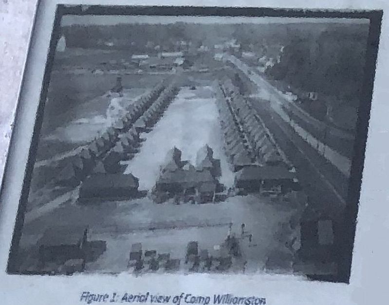 Figure 1: Aerial view of Camp Williamston image. Click for full size.