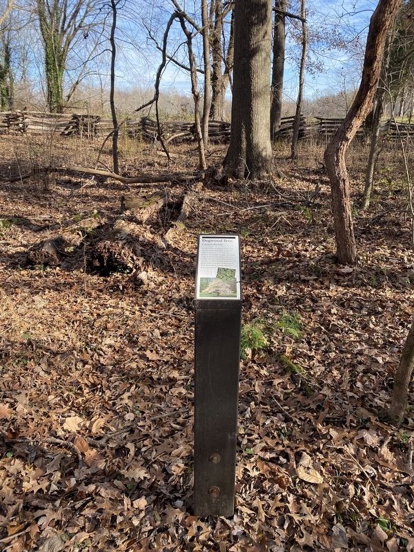 Dogwood Tree Marker image. Click for full size.