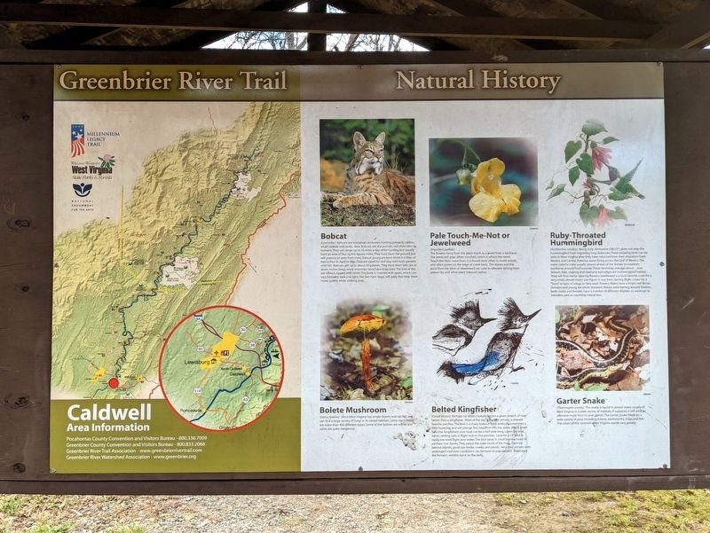 Caldwell: Heritage Marker (opposite side) image. Click for full size.