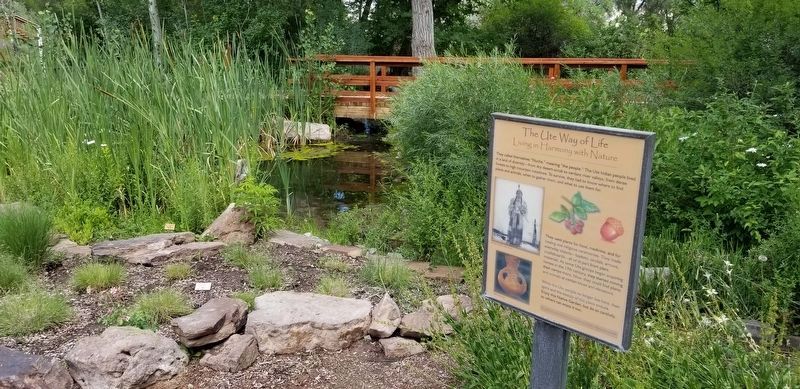 The Ute Way of Life Marker in a native garden by the Ute Indian Museum image. Click for full size.