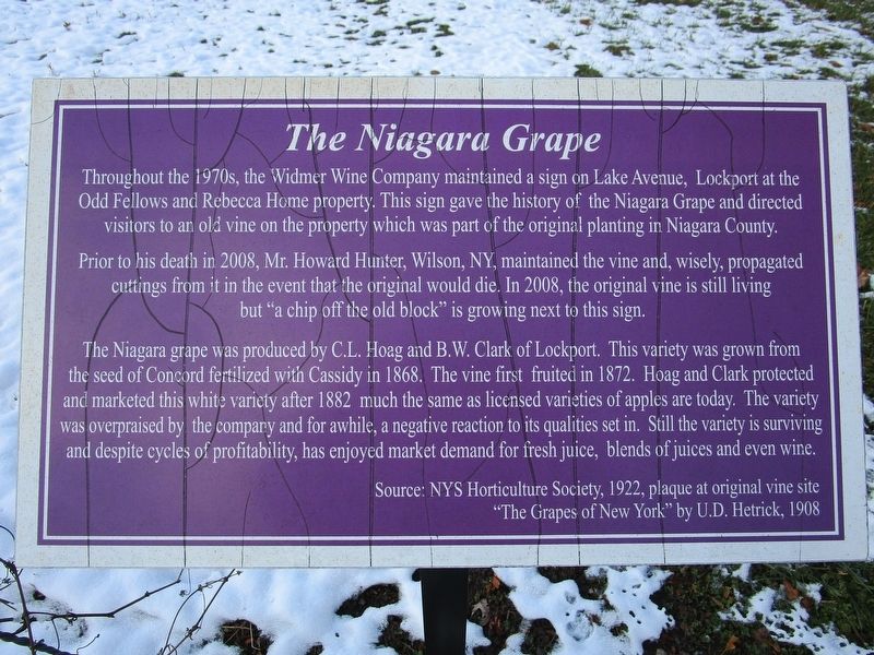 The Niagara Grape Marker image. Click for full size.