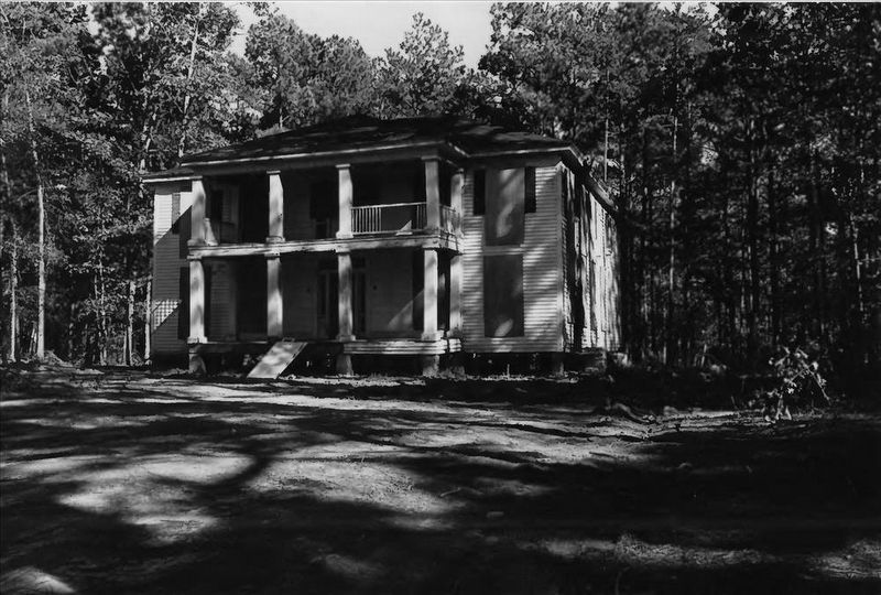 Stately Oaks image. Click for more information.