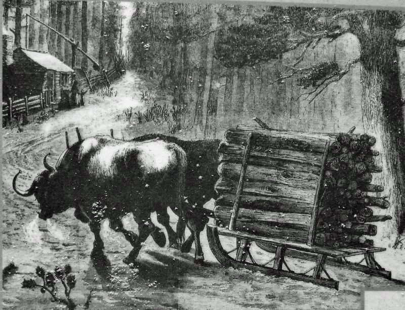 Marker detail: Oxen-pulled Sledge. Click for full size. Marker detail: Oxen-pulled Sledge image. Click for full size.