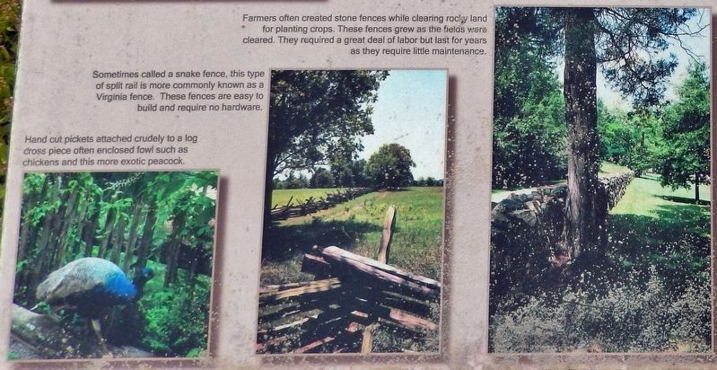 Marker detail: Frontier Fence Types image. Click for full size.
