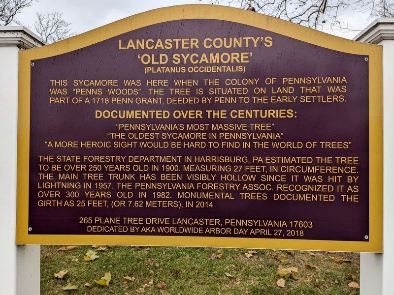 Lancaster County's "Old Sycamore" Marker image. Click for full size.